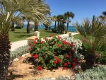 jardin sur la plage