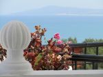 Vue de la terrasse
