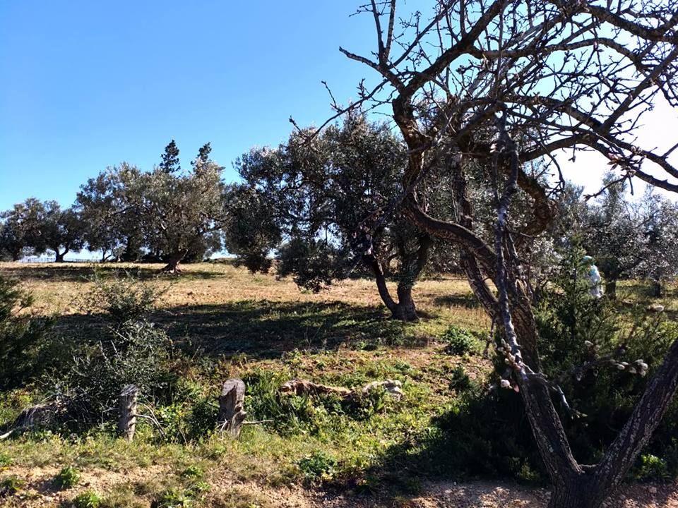 Terrain dans la compagne