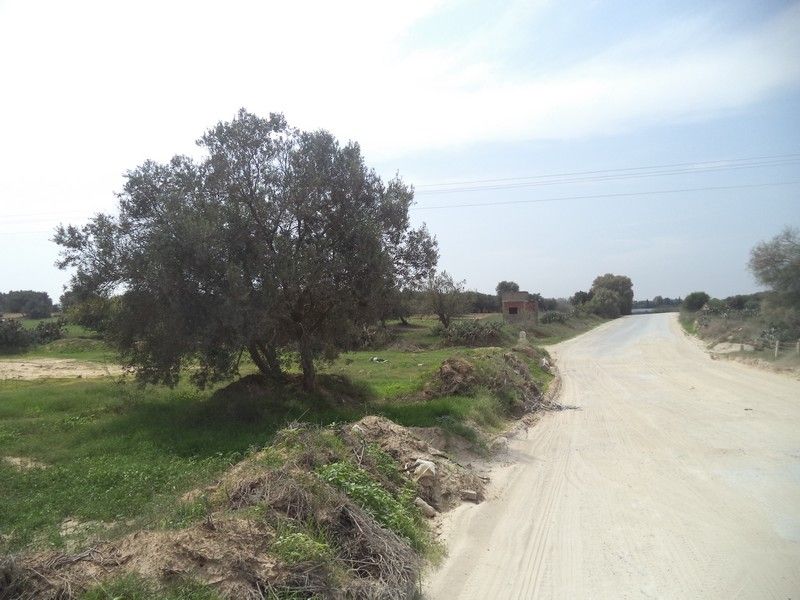 Av 5000m² sur la route à hammamet