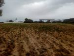 terrain de 5 hectares planté olivier a la compagne de hammamet