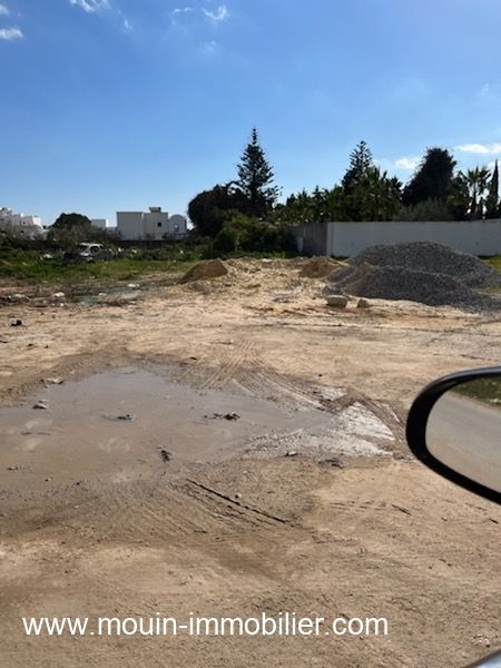 Terrain larine hammamet zone theatre