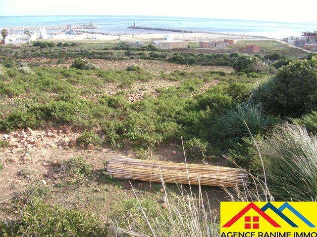 Lots des terrains de 583 et 250 a la plage el haouaria