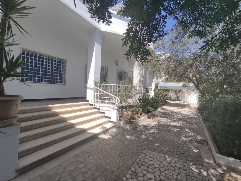 Dar chams hammamet  centre