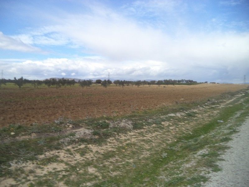 Av terrain agricole 140md a landaria bouficha