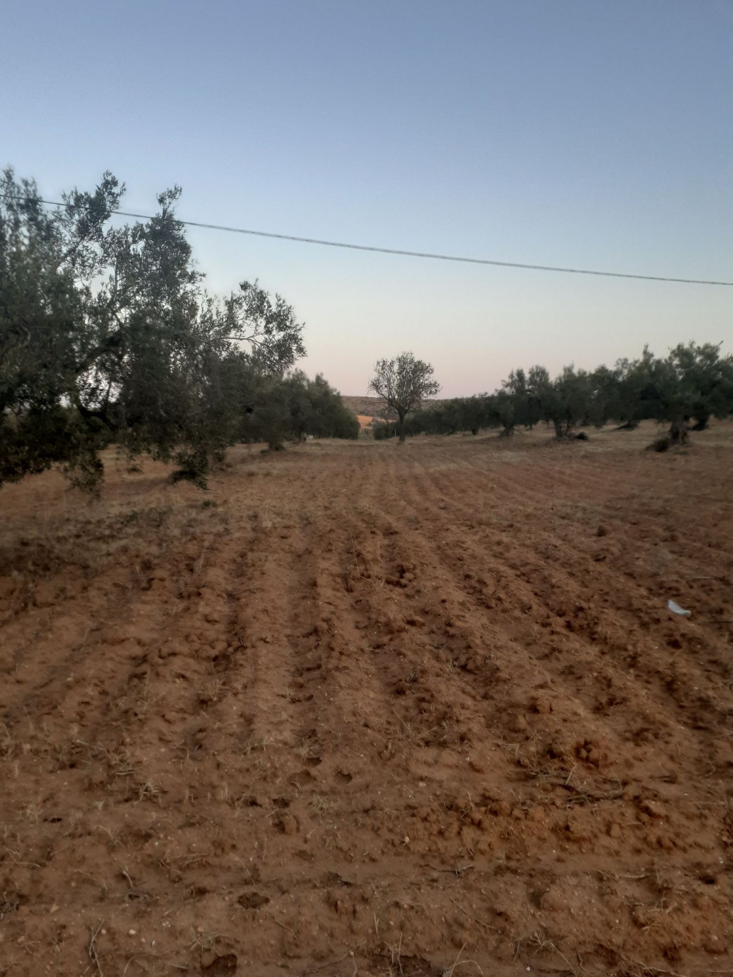 Av terrain agricole de 15000m² a latrech hammamet