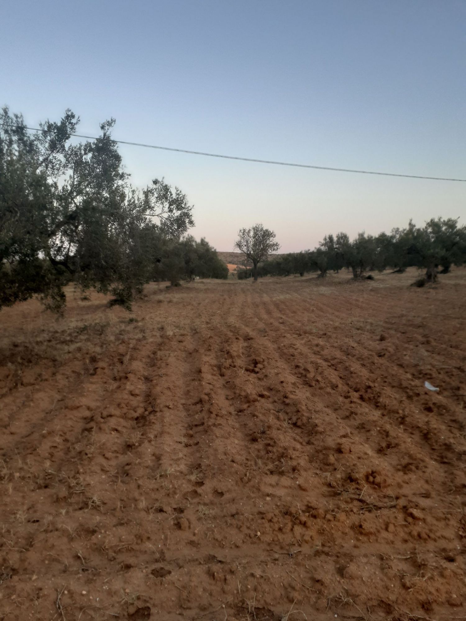Av terrain 15000m² a hammamet latrech