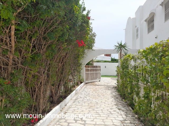 Villas du palmier av à hammamet zone theatre