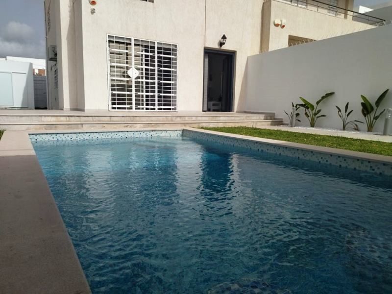 Villa sharkcvilla shark