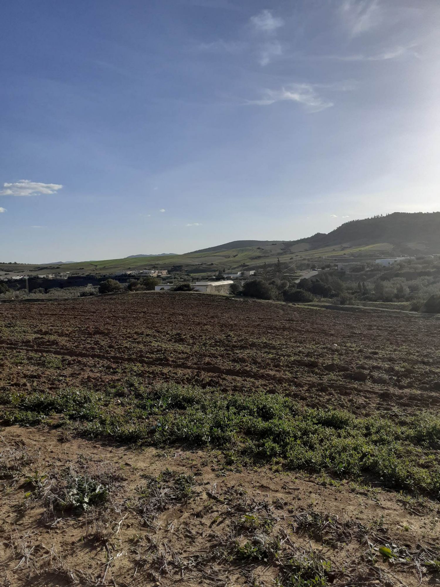 Av terrain agricole de 10000m sur la route à hammamet sud