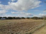 Terrain Agricole Hammamet Sud