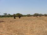 Concerne pour ceux qui ont besoin d'un grand terrain agricole