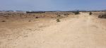 AV terrai hectare proche bouficha yassmin hammamet