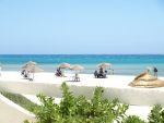 un terrain de 30 000 m² cote hammam jebli