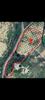 قطع أرض للبيع