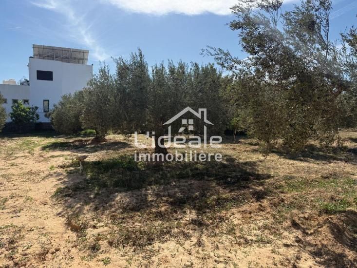 À vendre deux terrains d’exception à hammamet nord