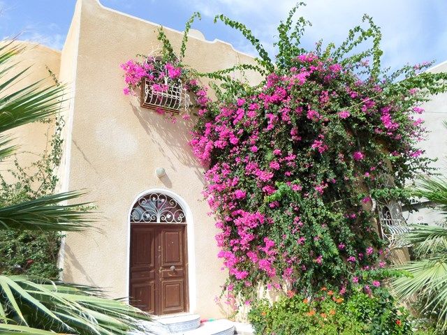 Maison à midoun djerba