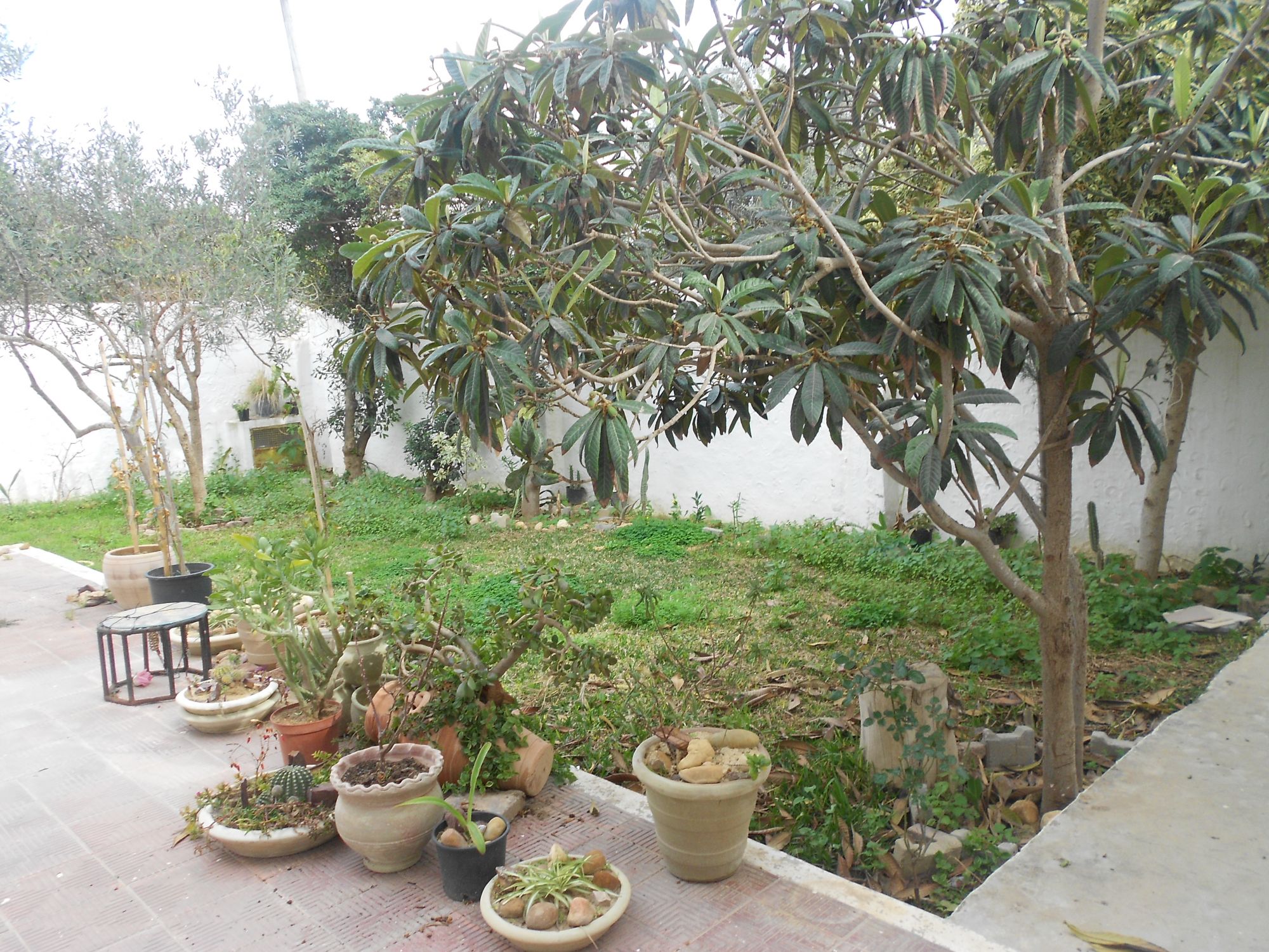 Al magnifique duplex quartier chic