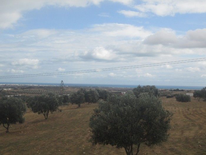 Terrain 1 hectare vue de mer à tafernine sidi jdidi