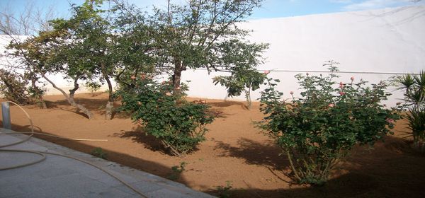 Villa plainpied à tantana