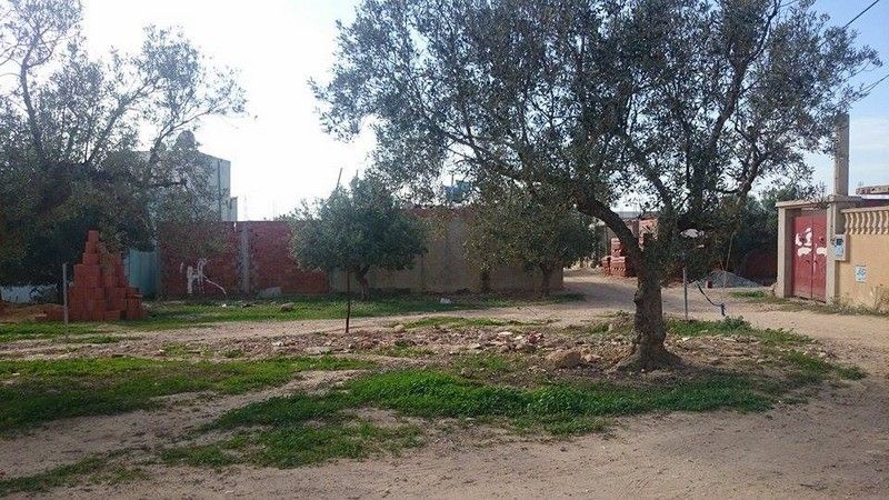 Terrain av situé à bareket sehel route de sidi hammed