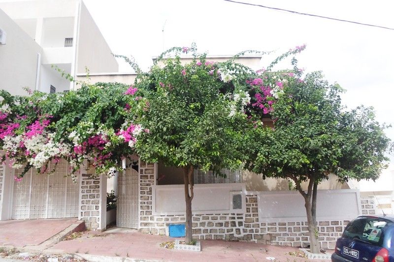 Grand duplex av à yassmin hammamet