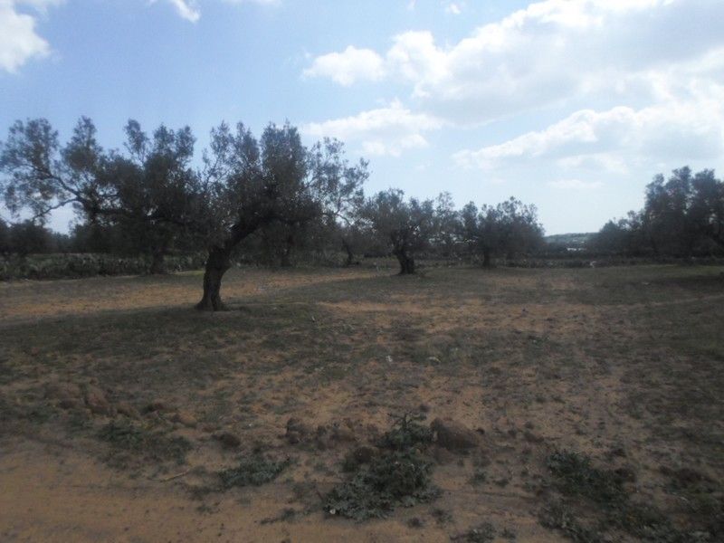 Av terrain de 1800m dans la compagne de hammamet sud