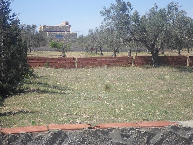 Lot de 500m proche de yasmine hammamet kt