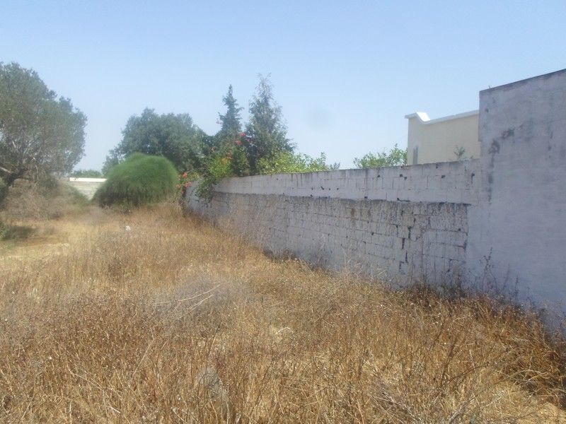 Av lot d m pas loin au centre ville hammamet