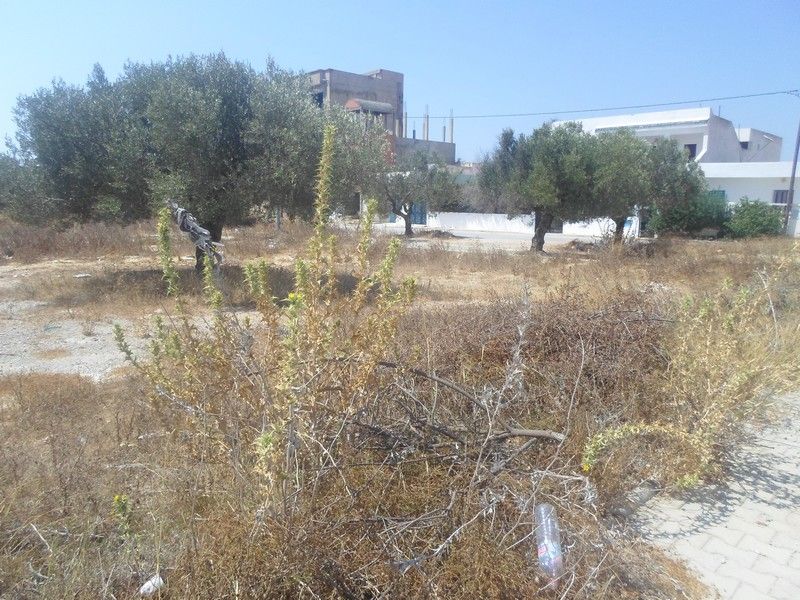 Lot de 191 m à rezga hammamet