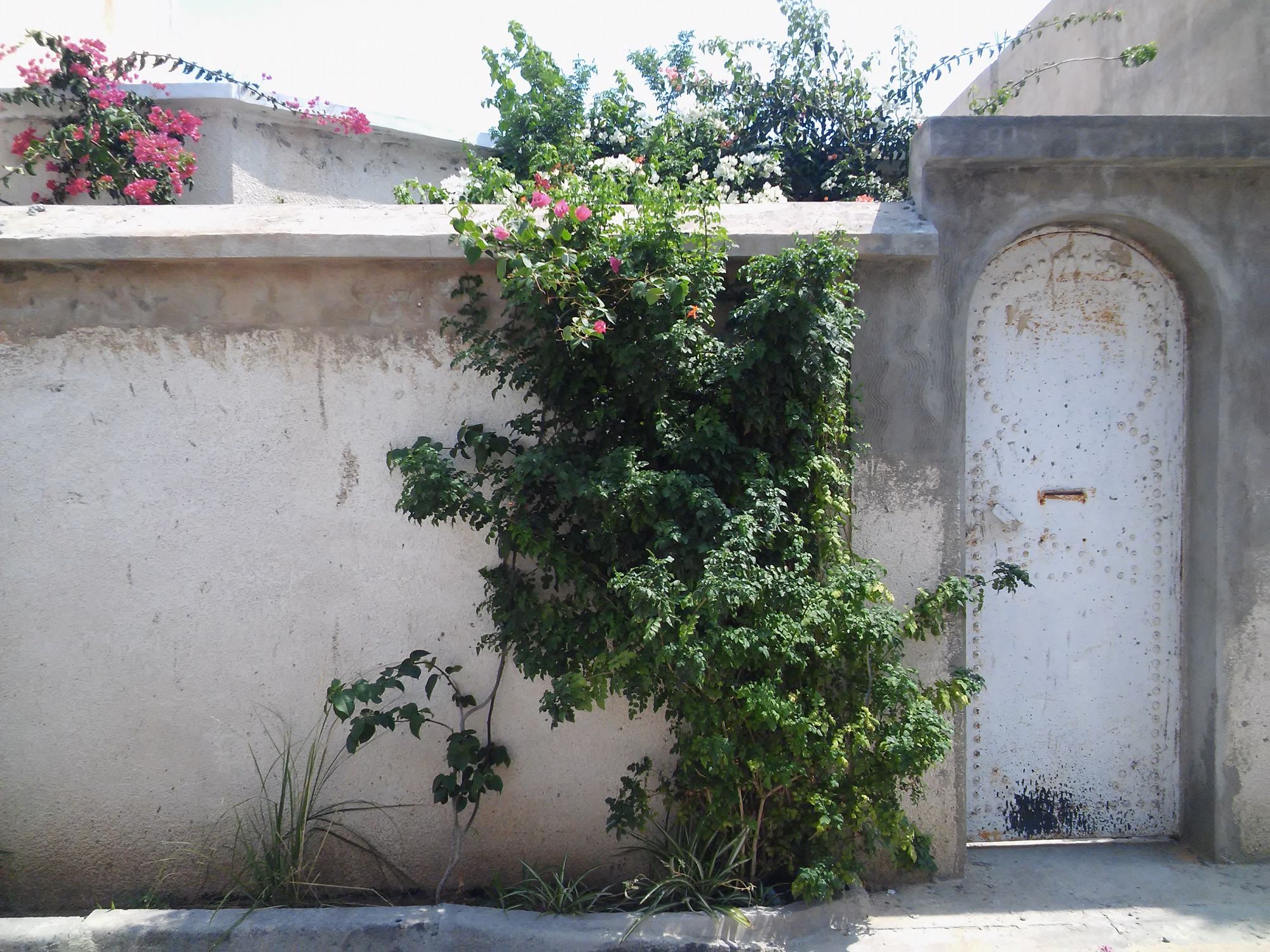 Coquette maison à 95md à hammamet nord kg