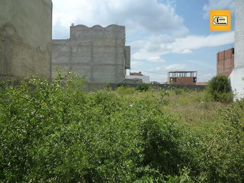 Terrain sur la route de mansourah kélibia