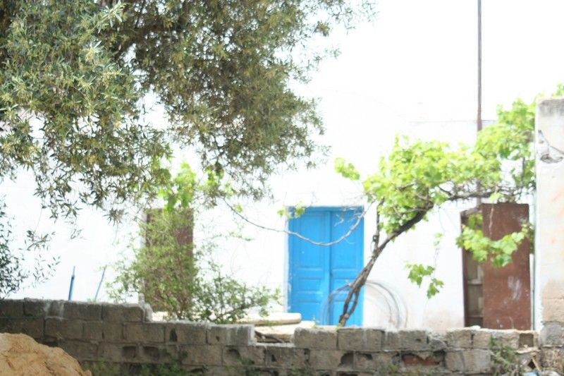 Opportunité unique+