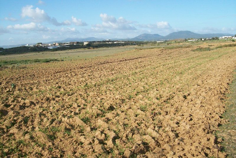 Offre spéciale -terrain-