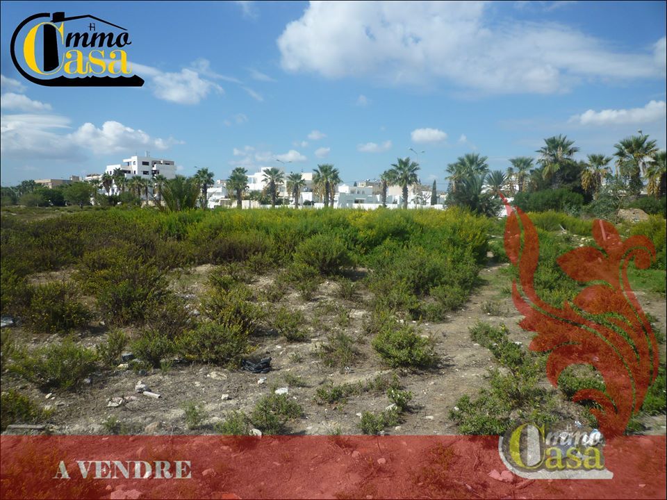 Terrain à la marssa plage kélibia
