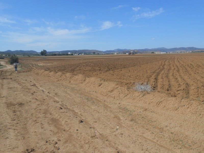 Terrain et ferme de 3500 hammamet