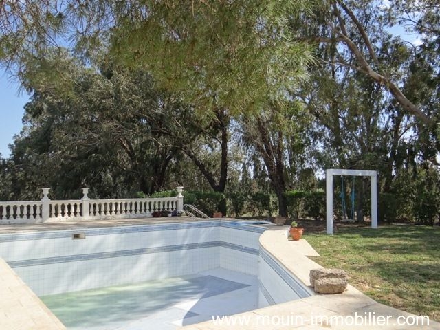 Villa thym a à hammamet