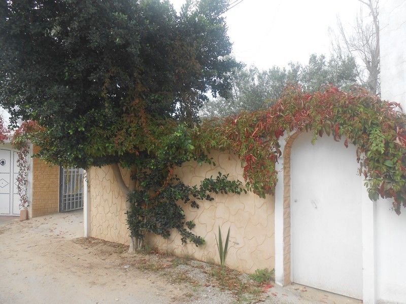 Villa proche sinbed hamamet