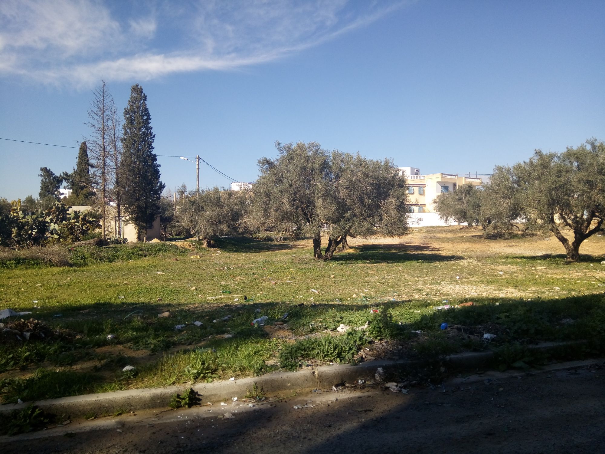 Terrain slaiem à birbougba