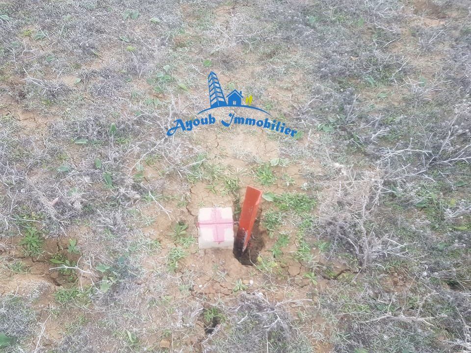 Terrain mami hammamet sud