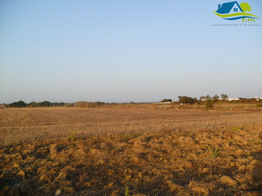 أرض في قليبية حمام الجبلي مساحتها 350متر فرصة