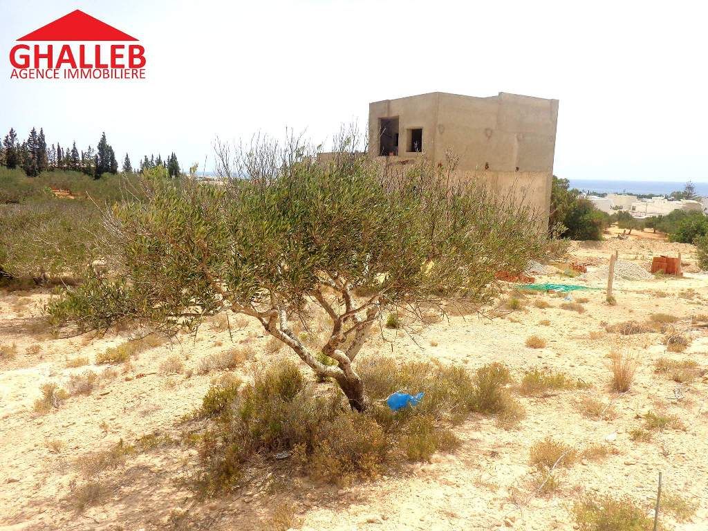 Lot viabilisé vu mer à hammamet