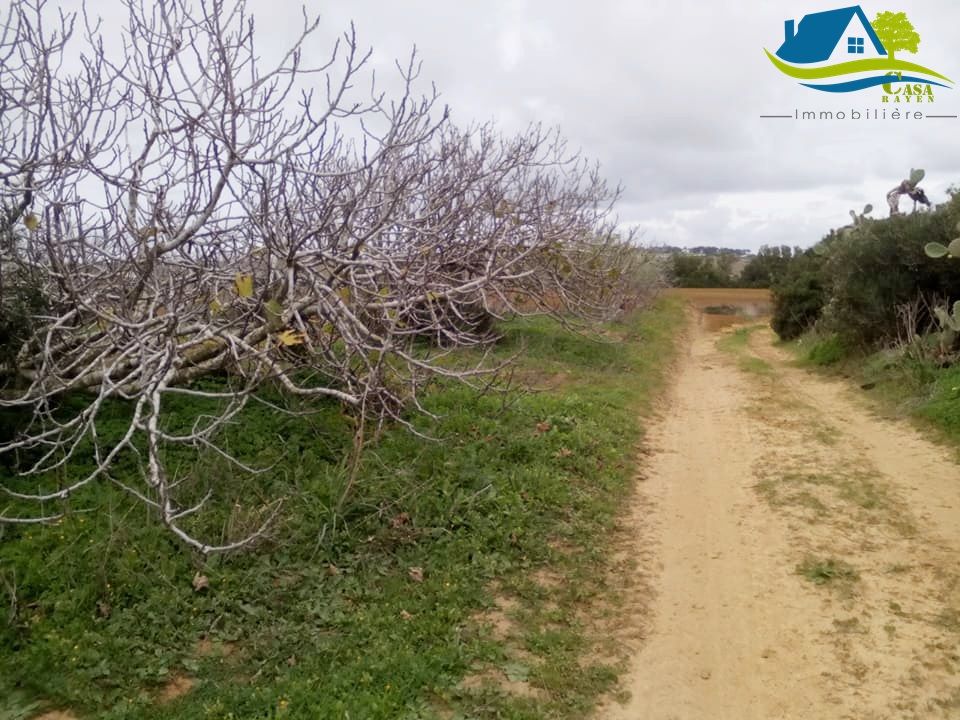 ارض فلاحية سقوية للبيع في احواز قليبية