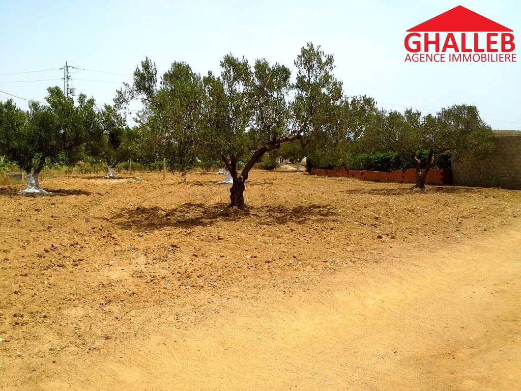 Lot de terrain sur la route proche hmt