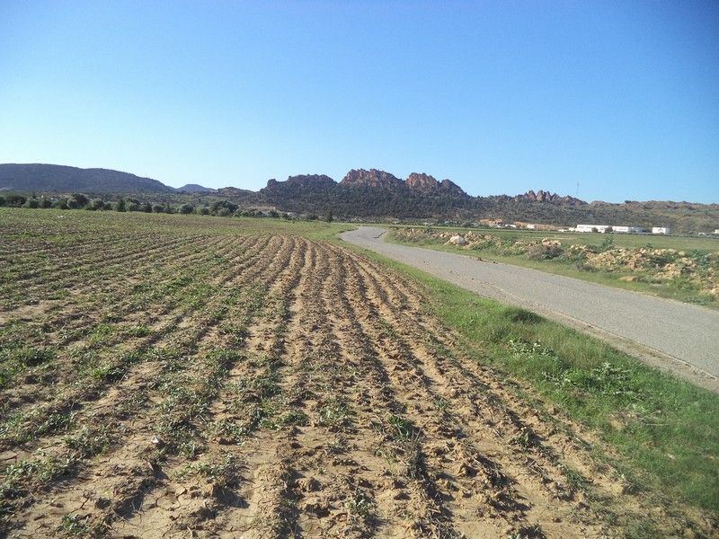 Lotissement de 500 forsssaaaa 30md