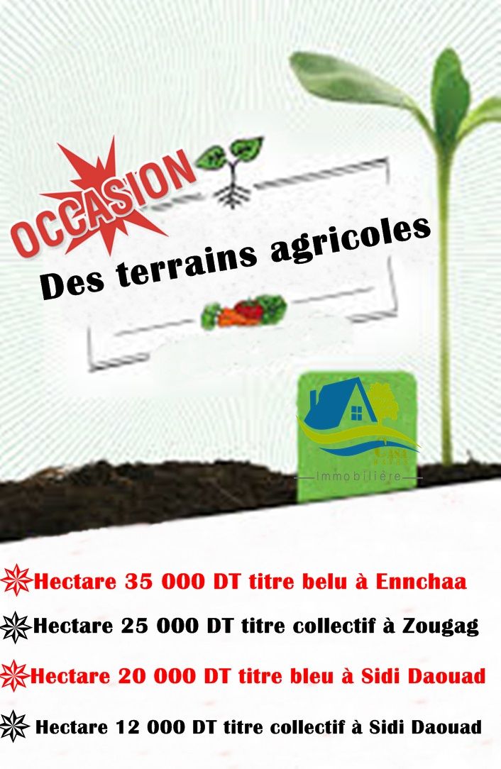 هكتار 35 مليون في نشع شهادة ملكية فردية