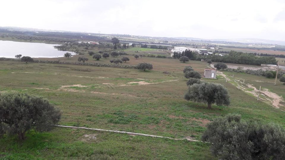 Terrain agricole à 10 km de la ville de korba