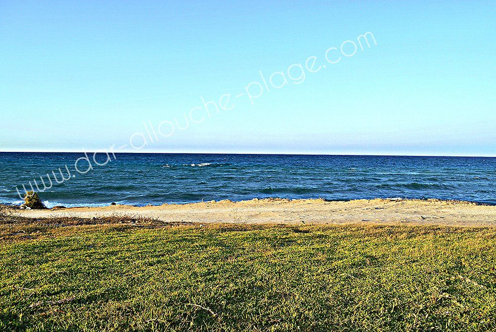 للبيع قطع ارض على البحر في دار علوش