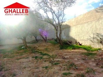 A vendre lot de terrain à hammamet nord 113