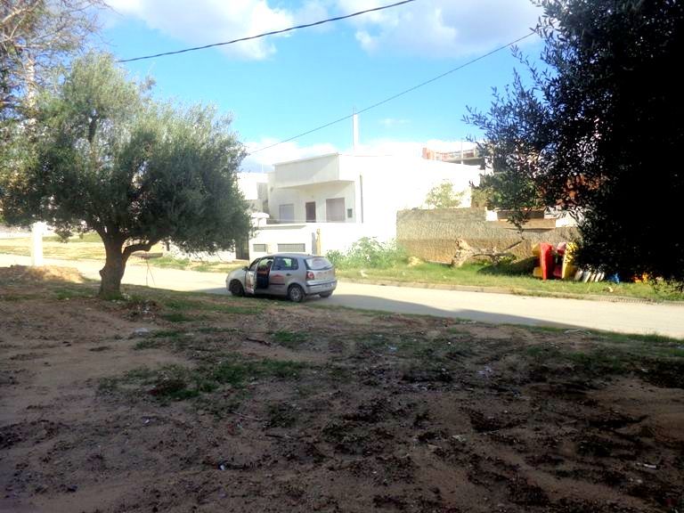 A vendre lot de terrain à hammamet nord 123